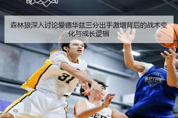 森林狼深入讨论爱德华兹三分出手激增背后的战术变化与成长逻辑